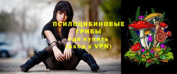 каннабис Анжеро-Судженск