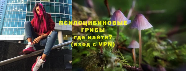 каннабис Анжеро-Судженск