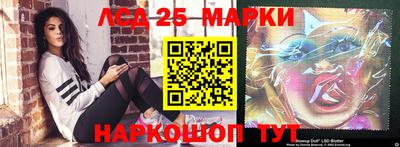гидропоника Будённовск