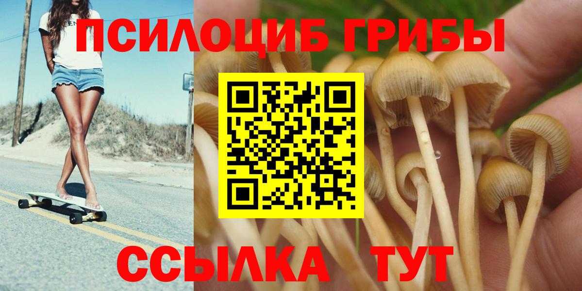 Галлюциногенные грибы Cubensis  Вход с VPN  Зерноград 